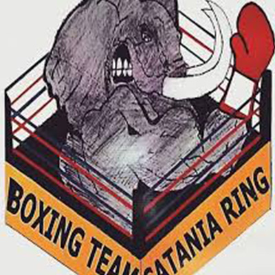 boxing-team